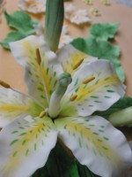 /album/fotogaleria-specialne-torty/detail-lalia-2-jpg/